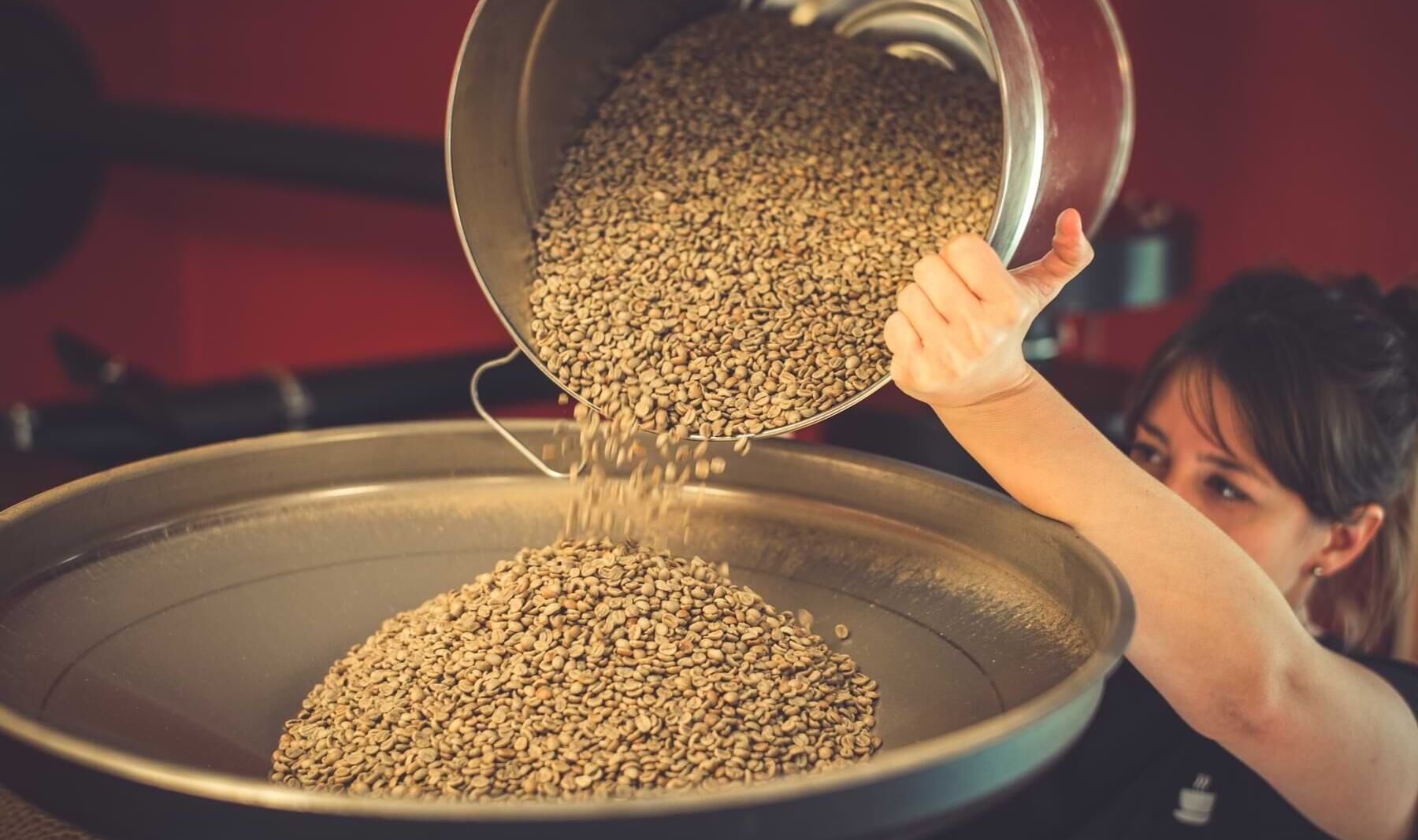 Person gießt grüne Kaffeebohnen aus einem Metallbehälter in eine große runde Rösttrommel